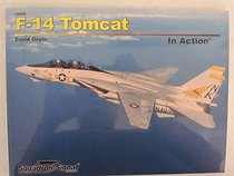 F-14 Tomcat in Action