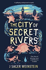 The City of Secret Rivers [Hardcover] Jacob Sager Weinstein (author)