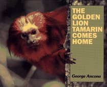 The Golden Lion Tamarin Comes Home