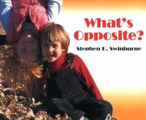 What's Opposite?