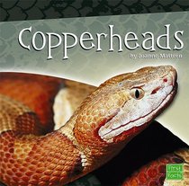 Copperheads (First Facts)