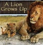 A Lion Grows Up (Wild Animals)