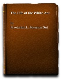 Life of the White Ant