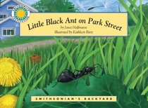 Little Black Ant on Park Street (Smithsonian's Backyard Collection)