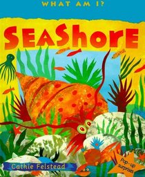 Seashore: Pop-Up Surprises (What Am I)