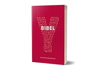 Y-Bibel - Youcat: Jugendbibel der Katholischen Kirche mit dem Text der revidierten Einheitsbersetzung 2017. Mit einem Vorwort von Papst Franziskus