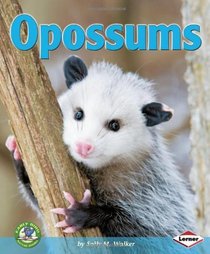 Opossums (Early Bird Nature Books)