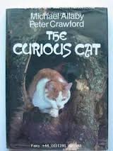 The curious cat