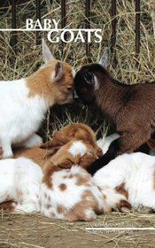 Baby Goats Weekly Planner 2017: 16 Month Calendar