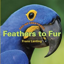 Pop-Up Creatures: Feathers to Fur