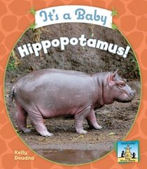 It's a Baby Hippopotamus! (Baby African Animals)