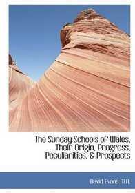 The Sunday Schools of Wales, Their Origin, Progress, Peculiarities, & Prospects