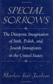 Special Sorrows : The Diasporic Imagination of Irish, Polish, and Jewish Immigrants in the United States