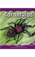 Tarantulas (Pebble Books)