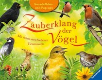 Zauberklang der Vgel