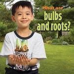 What Are Bulbs and Roots? (Plants Close-Up)