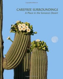 Carefree Surroundings: A Place in the Sonoran Desert