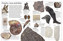 DK Eyewitness Books: Fossil (Library Edition)