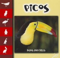 Picos/ Beaks and Bills (Spanish Edition)