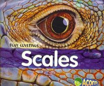 Scales (Body Coverings)