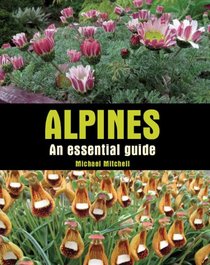 Alpines: An Essential Guide