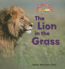 The Lion in the Grass (Benchmark Rebus)