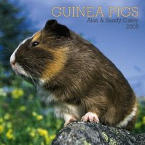 Guinea Pigs 2005 Wall Calendar
