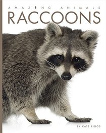 Amazing Animals: Raccoons