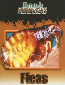 Fleas (Nature's Minibeasts)