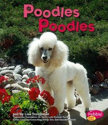 Poodles (Perritos / Dogs) (Spanish Edition)
