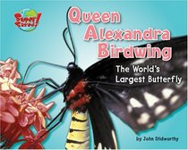 Queen Alexandra's Birdwing: The World's Largest Butterfly (Supersized!)