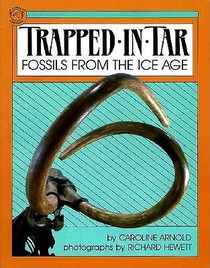 Trapped in Tar: Fossils from the Ice Age (A Junior Library Guild Selection)