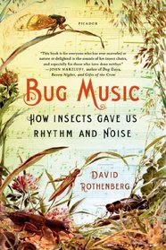Bug Music: How Insects Gave Us Rhythm and Noise