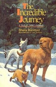 The Incredible Journey (A Tale of Three Animals)