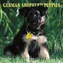 German Shepherd Puppies 2005 Wall Calendar