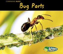 Bug Parts (Acorn)