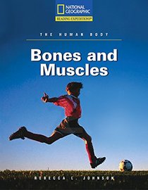 Bones and Muscles (Human Body)