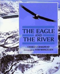 The eagle and the river (High five)