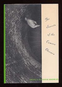 The Secrets of the Camera Obscura: Novella