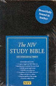 NIV Study Bible: New International Version (Bible Niv)