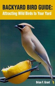 Backyard Bird Guide: Attracting Wild Birds to Your Yard