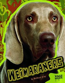 Weimaraners (All About Dogs)