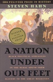 A Nation under Our Feet : Black Political Struggles in the Rural South from Slavery to the Great Migration