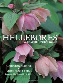 Hellebores: A Comprehensive Guide