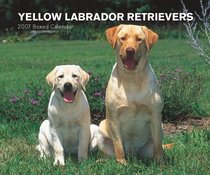 Yellow Labrador Retrievers 2007 Calendar [BOX SET]