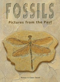 Fossils: Pictures from the Past (Pair-It Books)