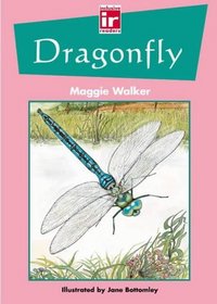 Dragonfly (Inclusive Readers)