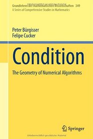 Condition: The Geometry of Numerical Algorithms (Grundlehren der mathematischen Wissenschaften)