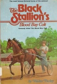 The Black Stallion's Blood Bay Colt (Black Stallion, Bk 6)