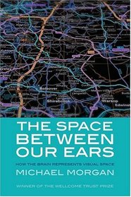 The Space between Our Ears: How the Brain Represents Visual Space